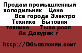Продам промышленный холодильник › Цена ­ 40 000 - Все города Электро-Техника » Бытовая техника   . Тыва респ.,Ак-Довурак г.